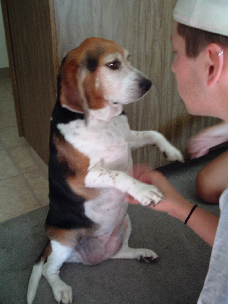 rollypudge.jpg